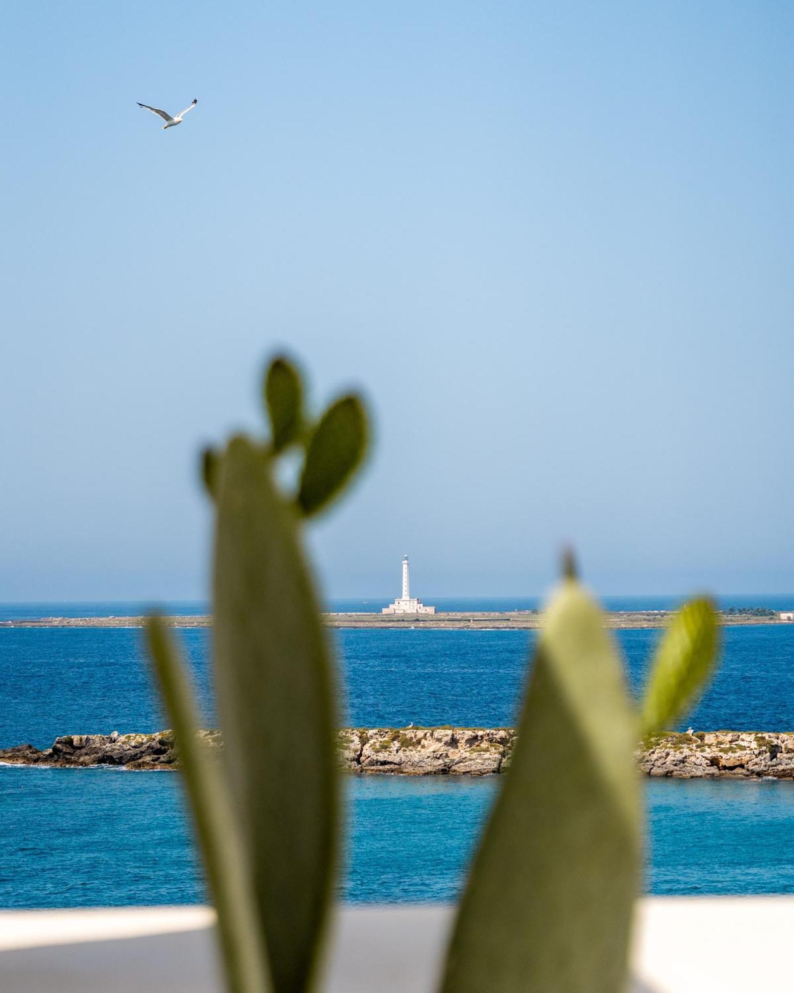 Apartamento Fronte Mare Casa Daspa Gallipoli